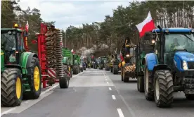  ?? Photograph: Lech Muszyński/EPA ?? Polish farmers protesting against the European green deal. Many of the EU’s nature rules have been weakened.