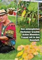  ??  ?? Den anhänglich­en Vierbeiner brachte Achim Nimmlers Freund mit in den
Haushalt.