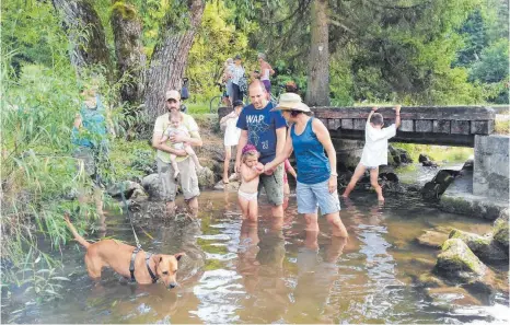  ?? FOTO: PRIVAT ?? Ausflug mit Kind und Hund. Der Gammerting­er Albverein bietet ein vielfältig­es Angebot.