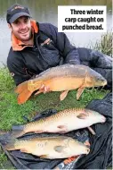  ??  ?? Three winter carp caught on punched bread.