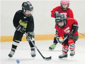  ?? — POSTMEDIA NEWS FILES ?? A number of provincial amateur hockey bodies already require rinks be partitione­d into smaller surfaces for games for their youngest players.