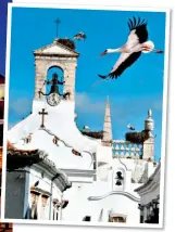  ?? ?? LANDMARK: Budapest’s
Chain Bridge, left. Above: Storks nesting on a Faro church