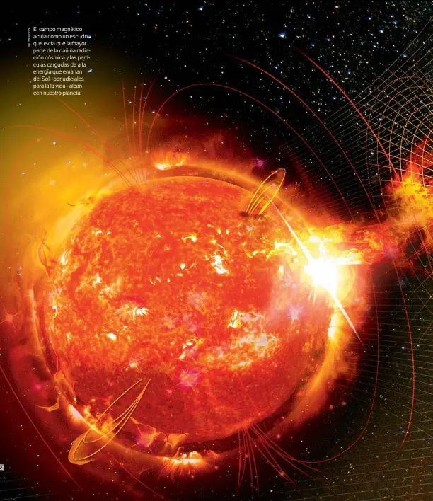  ??  ?? El campo magnético actúa como un escudo que evita que la mayor parte de la dañina radiación cósmica y las partículas cargadas de alta energía que emanan del Sol –perjudicia­les para la la vida– alcancen nuestro planeta.
