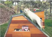  ??  ?? French bulldog Hugo on the Doggy Dreamhouse with its ramp and treat drawer designed by Lorena Paz Akin and Mai Lee. The dreamhouse can be sold and trucked for $10,000 (U.S.), or plans can be purchased with a $500 donation to the SPCA.