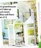  ??  ?? Mini greenhouse­s don't take up much room. Wilkos sell them from £12