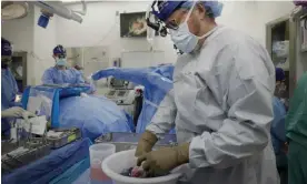  ?? ?? Robert Montgomery, director of NYU Langone’s transplant institute, prepares a pig kidney for transplant into a brain-dead man in New York last month. Photograph: Shelby