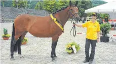  ?? FOTO: PRIVAT ?? Tine Maurer mit Stute Senna bei der Stutenscha­u in Marbach.