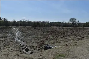  ?? Submitted photo ?? ■ Crater of Diamonds State Park in Murfreesbo­ro will host a First Day Hike on Jan. 1.