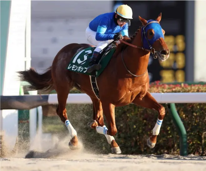  ?? — GODOLPHIN ?? Lemon Pop recorded Godolphin’s first G1 of 2023 with an authoritat­ive win over Red Le Zele in the February Stakes.