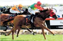  ?? Photo / Race Images ?? Two Illicit will be vying to end her racing career on a high at Te Rapa on Saturday.