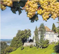  ?? FOTO: ACHIM MENDE ?? Über dem Bodensee thront Schloss Arenenberg.