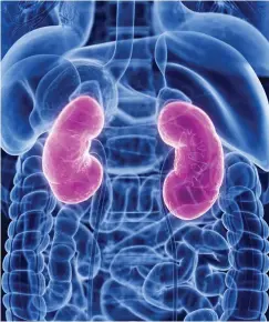  ?? ?? KIDNEY CRISIS: Earlier diagnosis of disease could save lives