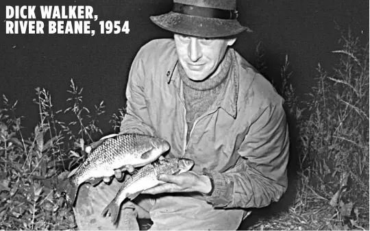  ??  ?? DICK WALKER, RIVER BEANE, 1954