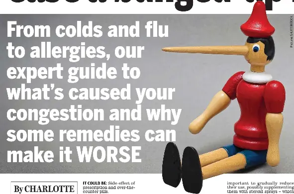 You CAN ease a bunged-up nose - PressReader