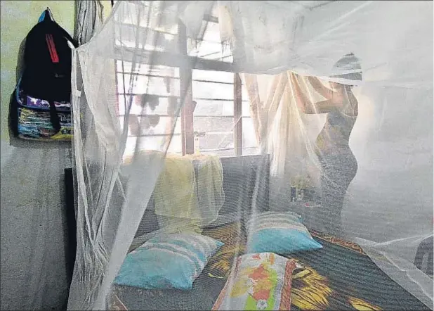  ??  ?? La mosquitera es la principal prevención en países como Colombia, donde el zika ha infectado a más de 5.000 mujeres embarazada­s