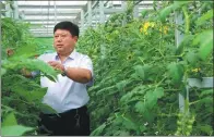  ?? PHOTOS PROVIDED TO CHINA DAILY ?? Wang Chuanxi visits a greenhouse in Daicun village in Linyi, Shandong province.