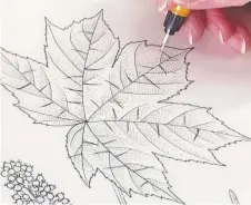  ?? HIGGINS/WASHINGTON POST ADRIAN ?? Tangerini uses a stippling tool to flesh out a drawing of a leaf.