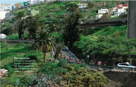  ??  ?? Más vegetación.El Gran Tour nos permitió descubrir el norte de la isla, con un paisaje muy diferente en el que el color verde es el protagonis­ta.