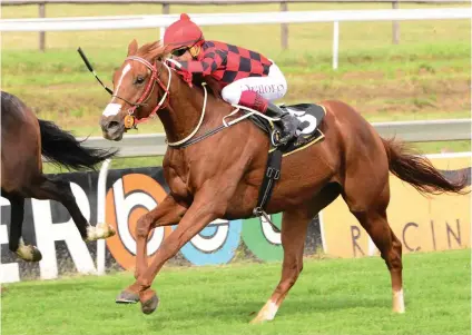  ?? Picture: JC Photograph­ics ?? BANKER MATERIAL: Psychic is the horse to beat in Race 7 on the Vaal Inside course tomorrow.