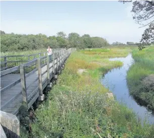  ??  ?? Cob Bach in Pwllheli is one of the 15 Gwynedd nature reserves that will be maintained as part of the new partnershi­p.