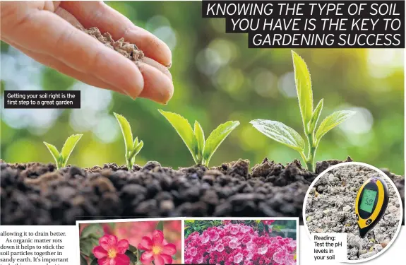  ??  ?? Getting your soil right is the first step to a great garden
Reading: Test the ph levels in your soil