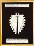  ??  ?? Eine Zahn-Farbpalett­e, hergestell­t von Newell Jenkins (1840-1919). Er war seinerzeit Promi-Zahnarzt in Dresden, unter anderem von Richard
Wagner (1813-1883).