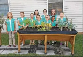  ??  ?? Fleetwood Girl Scout Junior Troop 1793 planted a vegetable garden at Mary’s Shelter. They recently gave a presentati­on at Mary’s Shelter.