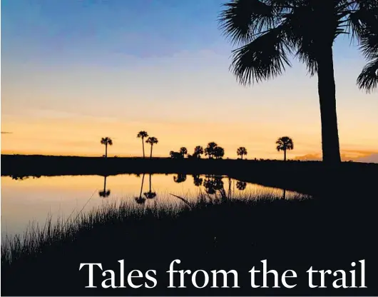  ?? WESLEY TILS ?? Palm trees are silhouette­d and reflected as the sun sets on a section of the Florida Trail.