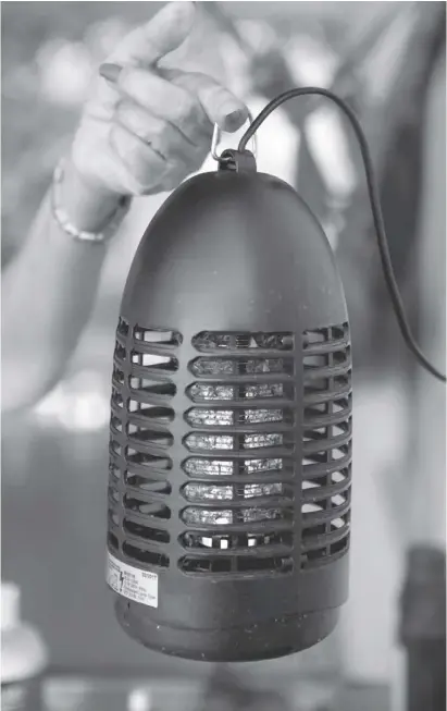  ?? Fotos: A. García ?? Ein elektrisch­er Fliegenver­nichter kann helfen, wenn die Mücken überhand nehmen.