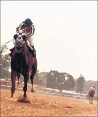  ?? 1973 AP photo ?? Crown him: Secretaria­t, with Ron Turcotte, left the field in the dust in a Belmont-record 31-length win that sealed the Triple Crown.