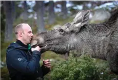  ?? ARKIVFOTO: KJARTAN BJELLAND ?? Daglig leder ved Elgtun, Kristoffer Kallhovd, opplyser at flere tiltak er gjort etter ulykken lørdag.