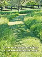  ??  ?? A mown path through meadow grass at Upton Oaks Garden, Marlboroug­h.