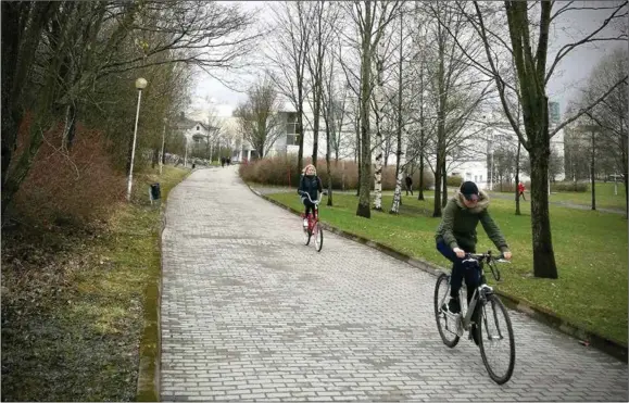  ??  ?? CYKLANDE STUDENTER. Enligt professor Timo Myllyntaus vid Åbo handelshög­skola är cykeln en vanlig syn i universite­tsstäder.