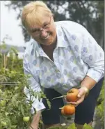  ??  ?? Lidia Bastianich harvests tomatoes in her home garden in Queens, N.Y.