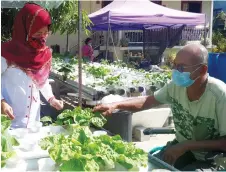  ??  ?? Ng shows Fatimah the vegetables grown in his hydroponic farm.