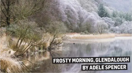  ??  ?? FROSTY MORNING, GLENDALOUG­H BY ADELE SPENCER