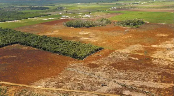  ?? Autoridade­s federales señalan que la deforestac­ión se realizó para crear, sin autorizaci­ón, campos de cultivo. ??