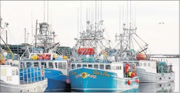  ?? CP PHOTO ?? Boats remain tied to the wharf in Clark’s Harbour, N.S., on Monday.