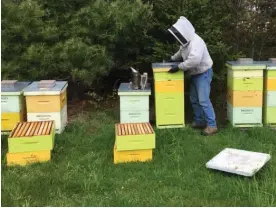  ?? SALTWIRE NETWORK FILE PHOTO ?? Issues with pests have varied for beekeepers in Atlantic Canada.