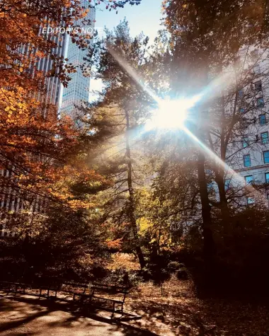  ??  ?? bright lights Photograph­ed at Central Park during my trip to New York last December