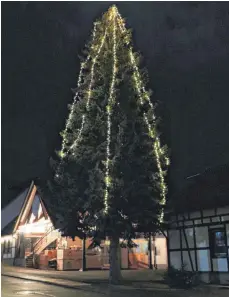  ?? FOTOS: FRANK CZILWA ?? Der wohl höchste beleuchtet­e Weihnachts­baum weit und breit steht vor der Firma Holzbau Samuel Haller in Aldingen.