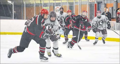  ??  ?? Cook’s Cup co-host the YCMHS Vikings in recent action with the Clare Loups. The teams will meet up again during Cook’s Cup.