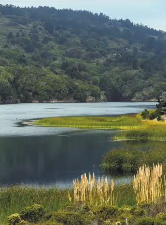  ?? Santiago Mejia / The Chronicle ?? San Francisco stores much of its water in the Lower Crystal Springs Reservoir in San Mateo County — water that flows from rivers in the Sierra and through the delta.