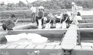  ??  ?? FADILLAH melepaskan benih ikan tilapia di Sungai Sarawak, Kampung Paroh di Kuching.