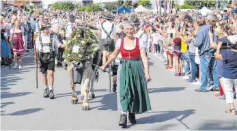  ?? FOTO: OLAF WINKLER ?? Solche Bilder wie 2019 wird es heuer nicht geben. Statt im Alpzug kehren die Rinder heuer mit Motorkraft im Hänger zurück.