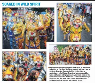  ??  ?? People painted as tigers take part in the Pulikali, or Tiger dance, in Thrissur on Thursday. The folk-art event is held every year in this town during the Onam festival. On the fourth day of celebratio­ns ( called Nalaam Onam), performers painted like...