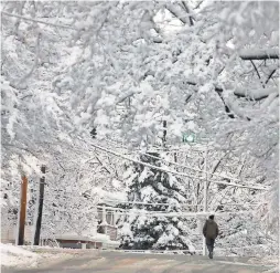  ?? SETH HARRISON/POUGHKEEPS­IE JOURNAL ?? Heavy snow clings to trees and power lines Thursday in Poughkeeps­ie, N.Y.