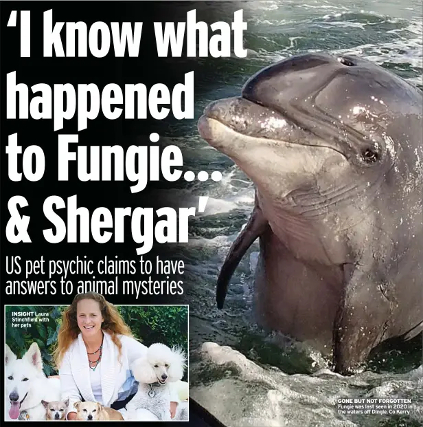  ?? ?? GONE BUT NOT FORGOTTEN Fungie was last seen in 2020 in the waters off Dingle, Co Kerry