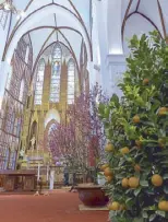  ??  ?? St. Joseph Catholic Church in Hanoi displays the colors of the new year. As in the Vietnamese home, two trees are important: the peach blossom tree and the kumquat, believed to ward off evil spirits and bring prosperity and happiness to the family.