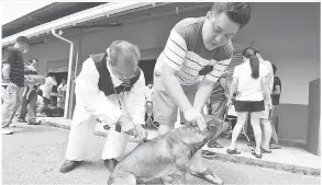  ??  ?? JABATAN Perkhidmat­an Veterinar Sarawak mengadakan operasi pemvaksina­n haiwan kesayangan di Dewan Masyarakat Kampung Semeba, Kuching setelah kampung tersebut diisytihar­kan positif wabak rabies.